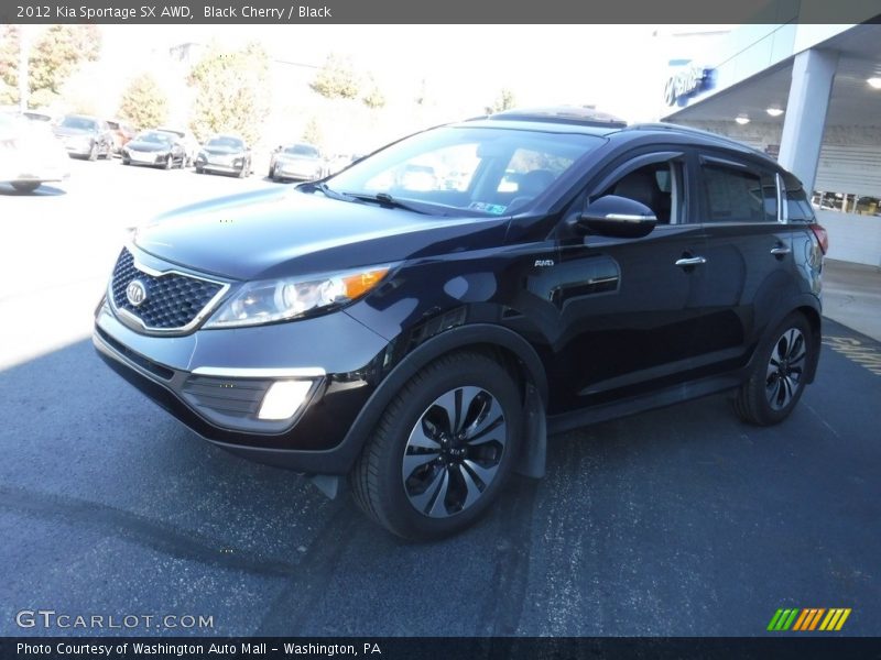 Black Cherry / Black 2012 Kia Sportage SX AWD
