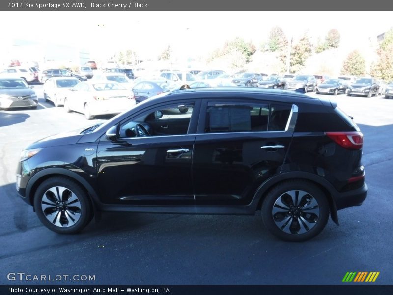 Black Cherry / Black 2012 Kia Sportage SX AWD