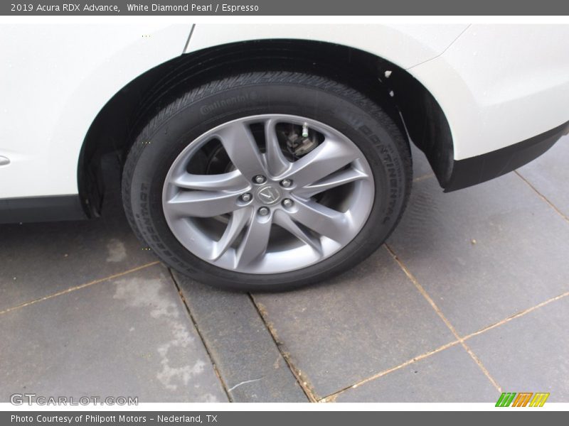 White Diamond Pearl / Espresso 2019 Acura RDX Advance