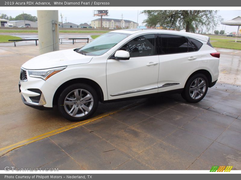 White Diamond Pearl / Espresso 2019 Acura RDX Advance