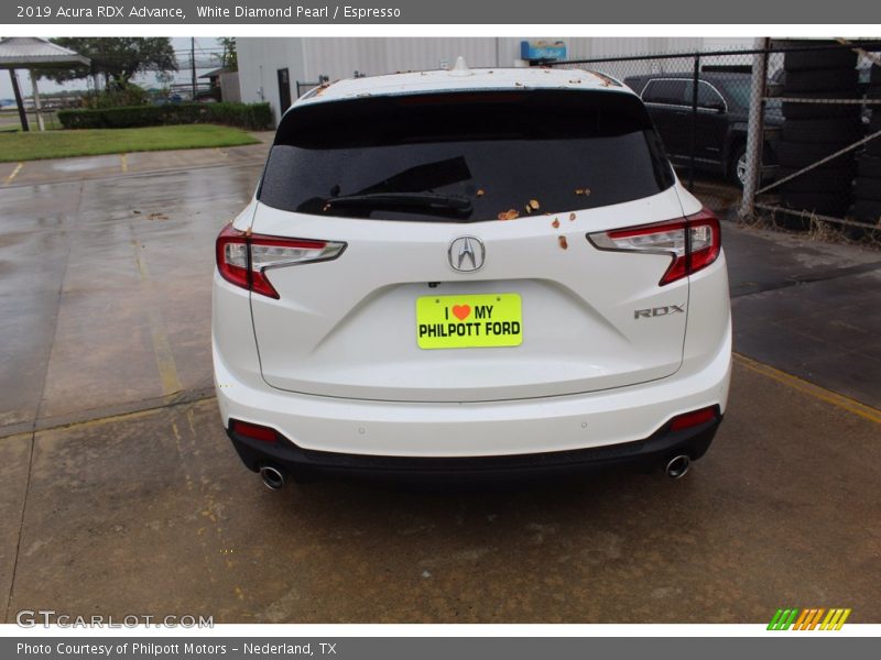 White Diamond Pearl / Espresso 2019 Acura RDX Advance
