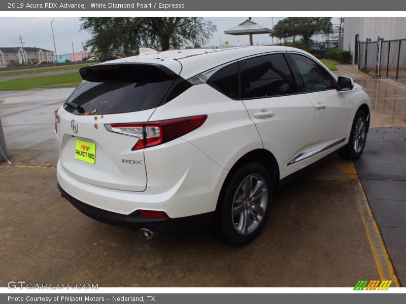 White Diamond Pearl / Espresso 2019 Acura RDX Advance