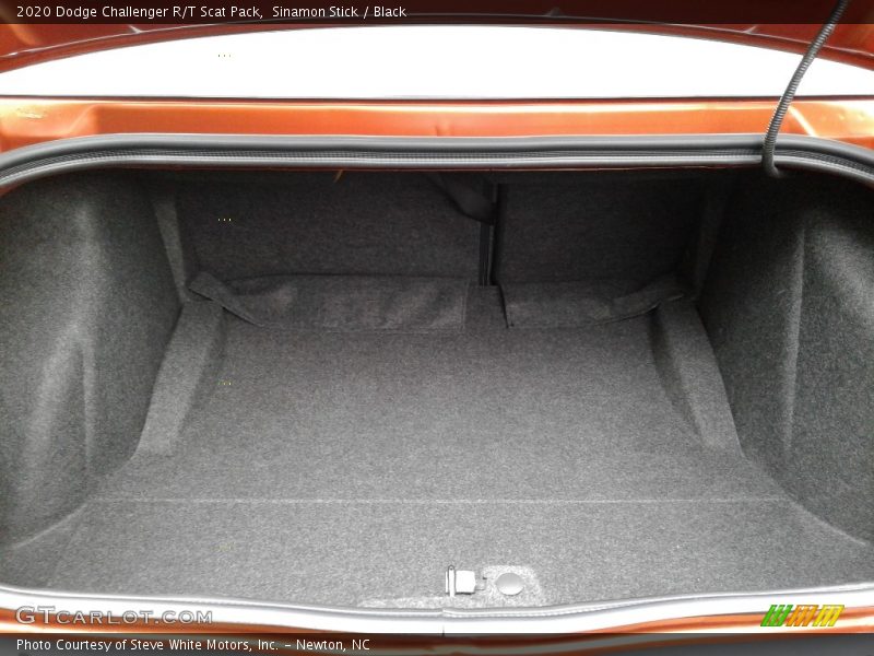 Sinamon Stick / Black 2020 Dodge Challenger R/T Scat Pack