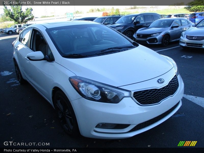  2014 Forte EX Snow White Pearl