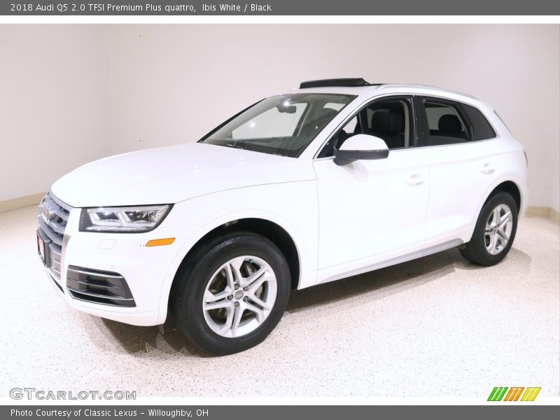 Ibis White / Black 2018 Audi Q5 2.0 TFSI Premium Plus quattro