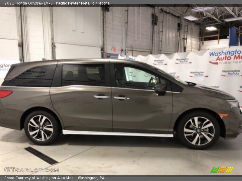 Pacific Pewter Metallic / Mocha 2021 Honda Odyssey EX-L