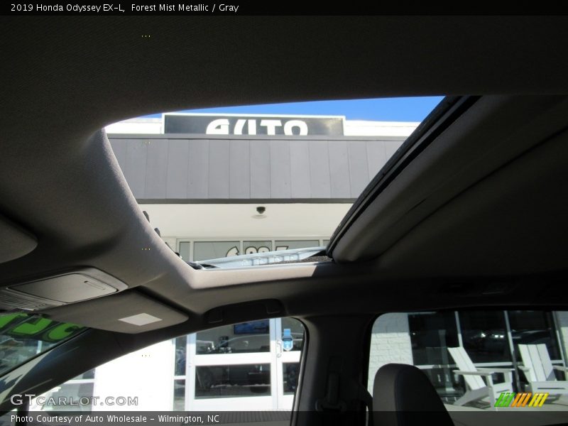 Forest Mist Metallic / Gray 2019 Honda Odyssey EX-L