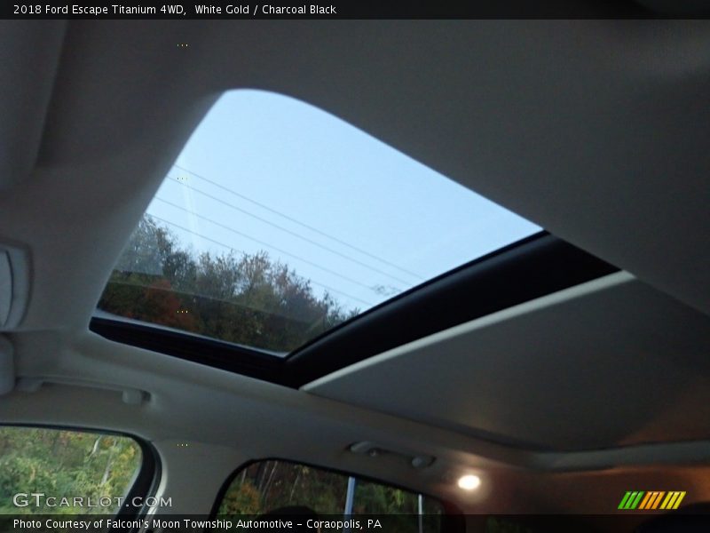 White Gold / Charcoal Black 2018 Ford Escape Titanium 4WD