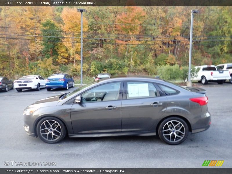 Magnetic / Charcoal Black 2016 Ford Focus SE Sedan