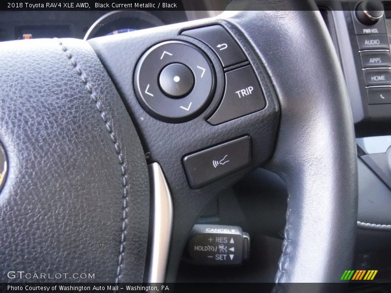 Black Current Metallic / Black 2018 Toyota RAV4 XLE AWD