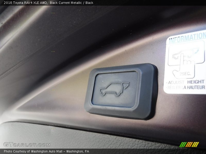 Black Current Metallic / Black 2018 Toyota RAV4 XLE AWD