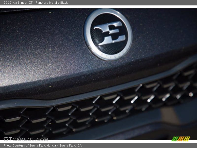 Panthera Metal / Black 2019 Kia Stinger GT