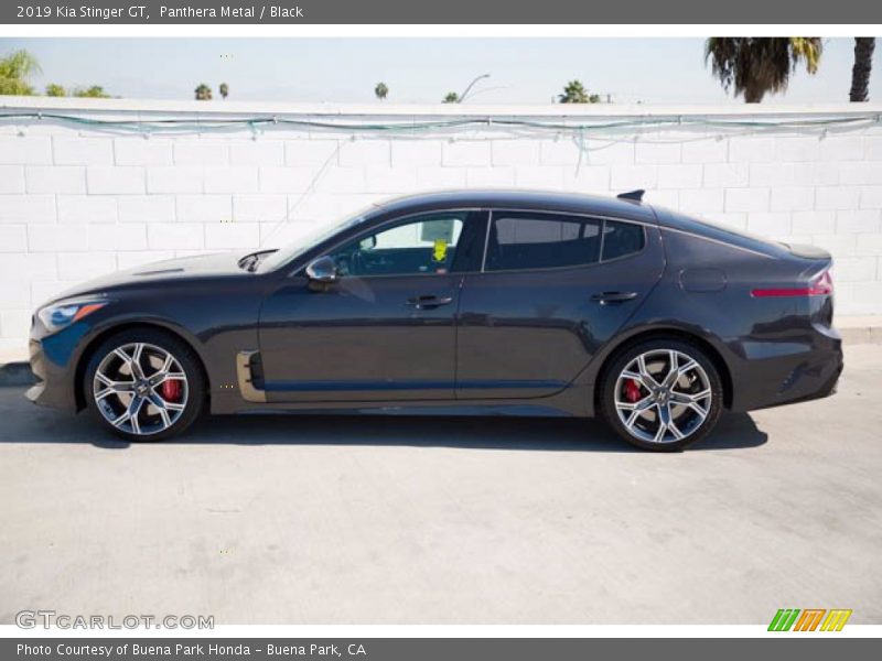  2019 Stinger GT Panthera Metal