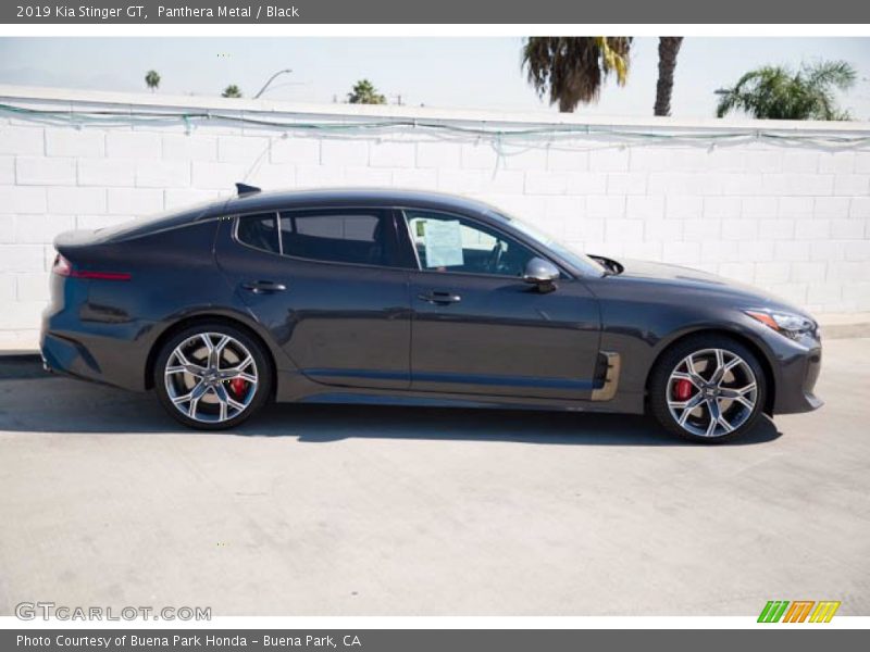  2019 Stinger GT Panthera Metal