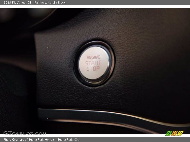 Panthera Metal / Black 2019 Kia Stinger GT