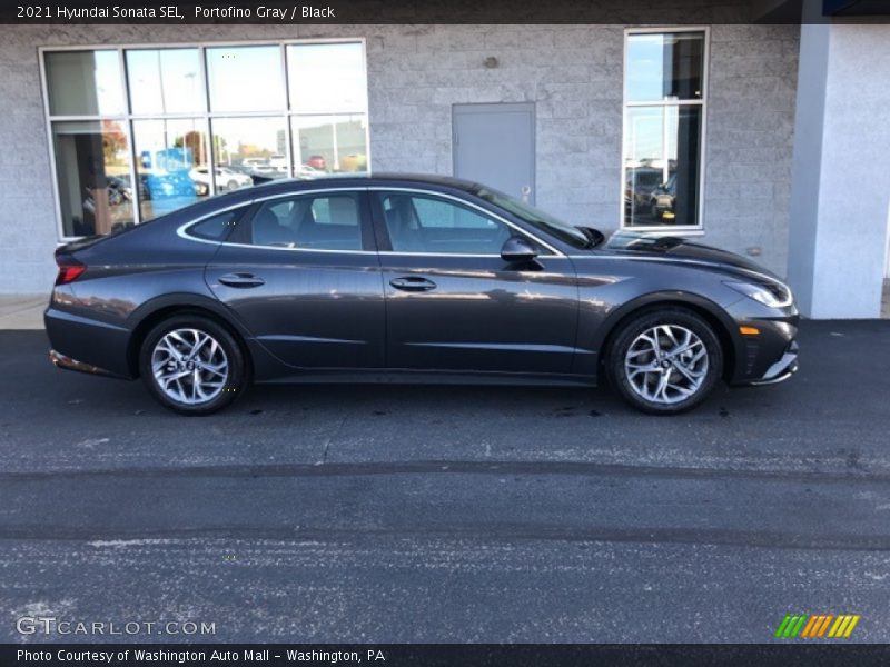 Portofino Gray / Black 2021 Hyundai Sonata SEL
