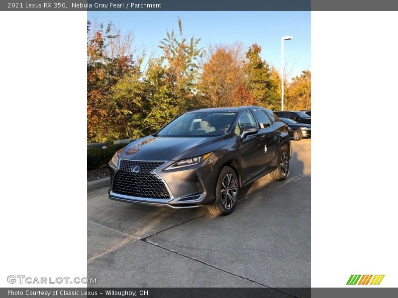 Nebula Gray Pearl / Parchment 2021 Lexus RX 350