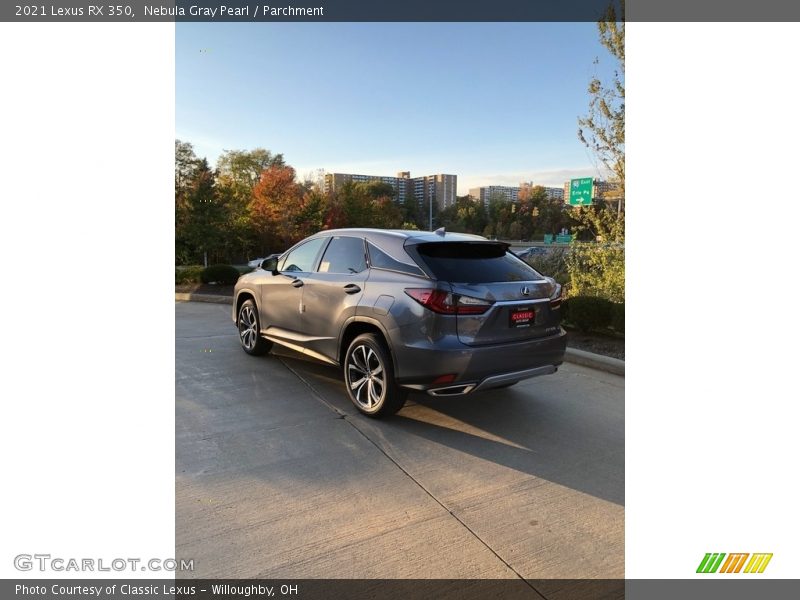Nebula Gray Pearl / Parchment 2021 Lexus RX 350