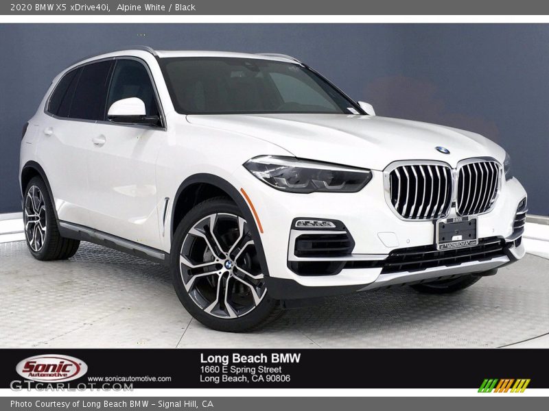 Alpine White / Black 2020 BMW X5 xDrive40i