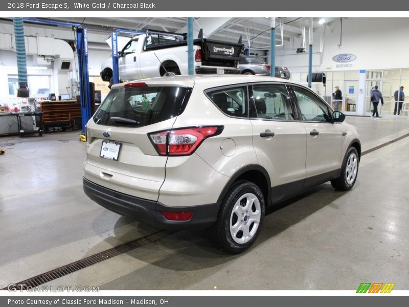 White Gold / Charcoal Black 2018 Ford Escape S
