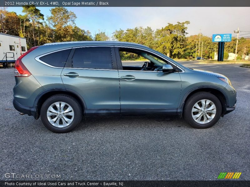 Opal Sage Metallic / Black 2012 Honda CR-V EX-L 4WD