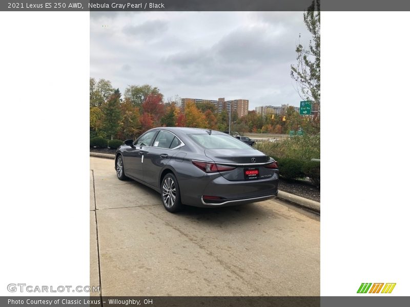 Nebula Gray Pearl / Black 2021 Lexus ES 250 AWD