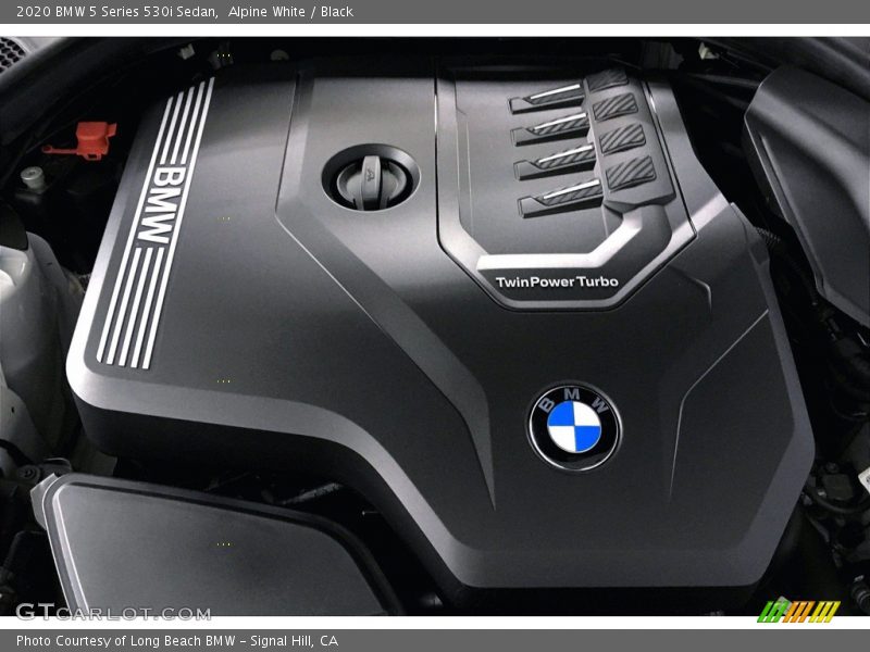 Alpine White / Black 2020 BMW 5 Series 530i Sedan