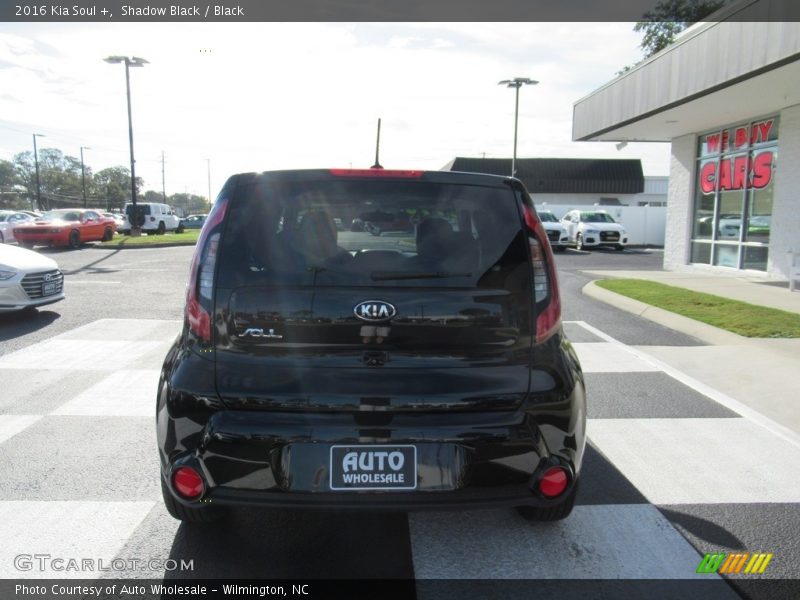 Shadow Black / Black 2016 Kia Soul +