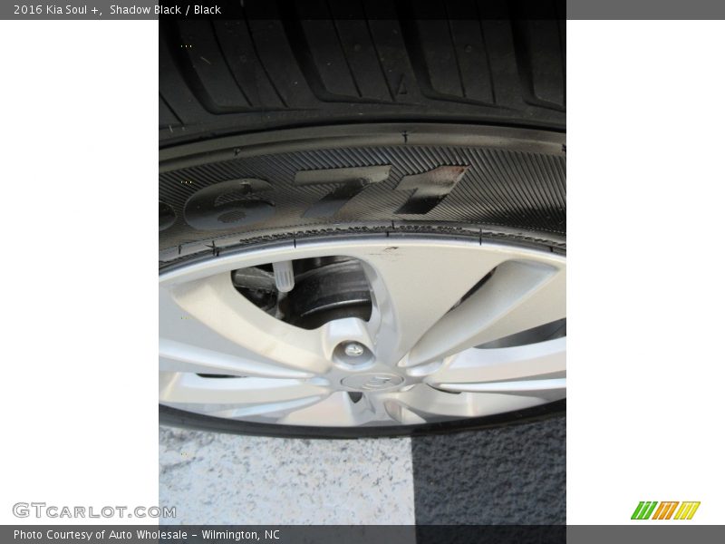Shadow Black / Black 2016 Kia Soul +