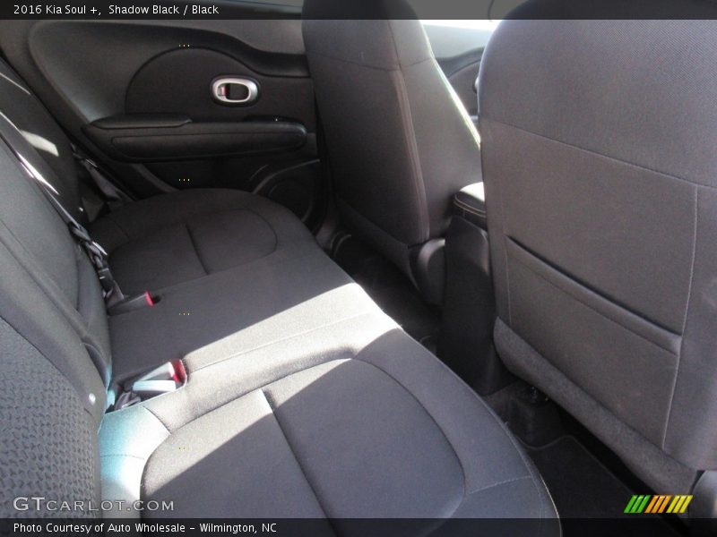 Shadow Black / Black 2016 Kia Soul +