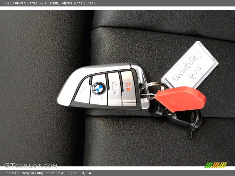 Alpine White / Black 2020 BMW 5 Series 530i Sedan