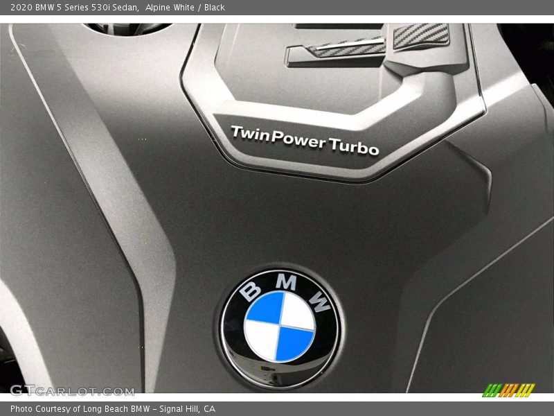 Alpine White / Black 2020 BMW 5 Series 530i Sedan