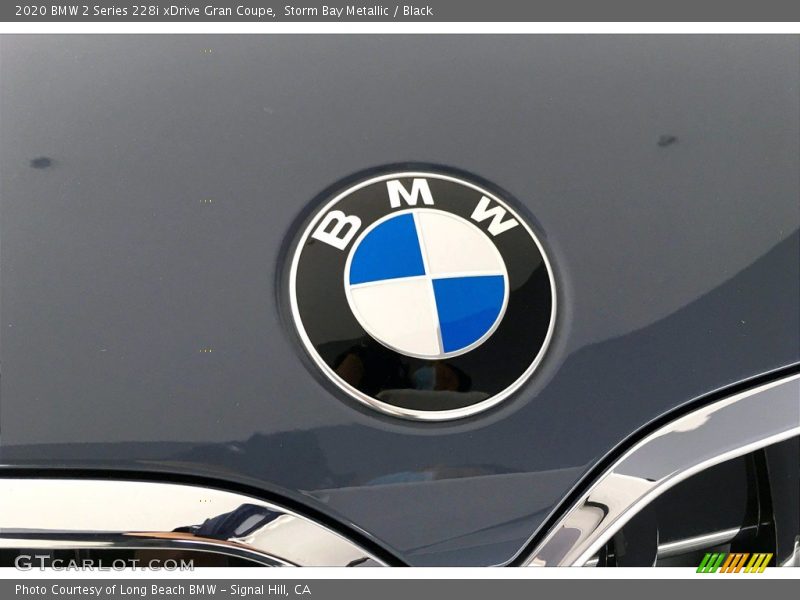 Storm Bay Metallic / Black 2020 BMW 2 Series 228i xDrive Gran Coupe