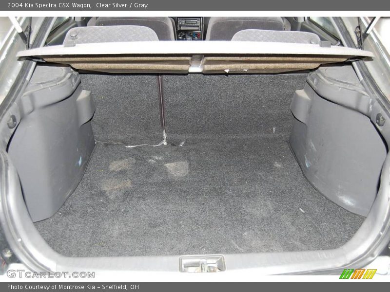 Clear Silver / Gray 2004 Kia Spectra GSX Wagon