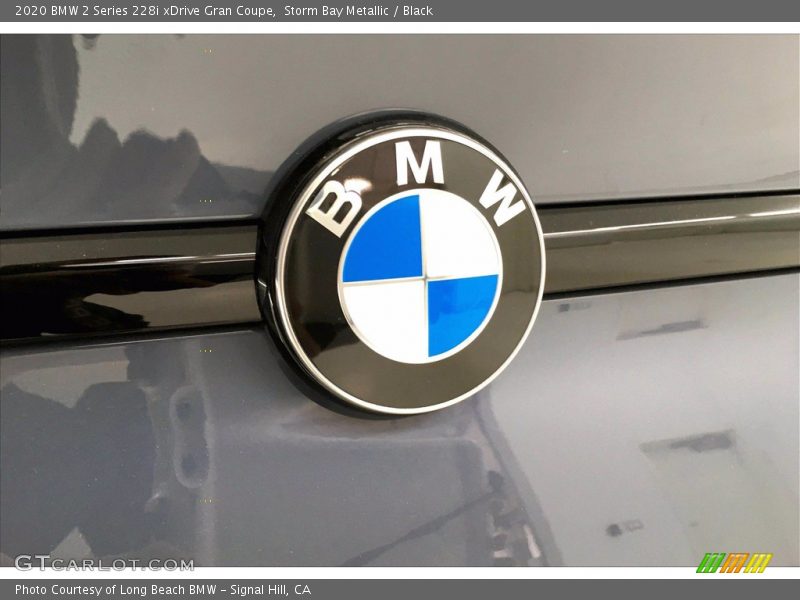 Storm Bay Metallic / Black 2020 BMW 2 Series 228i xDrive Gran Coupe