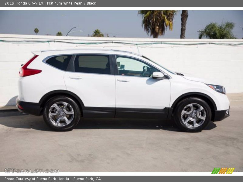 Platinum White Pearl / Black 2019 Honda CR-V EX