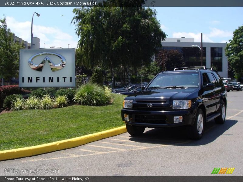 Black Obsidian / Stone Beige 2002 Infiniti QX4 4x4