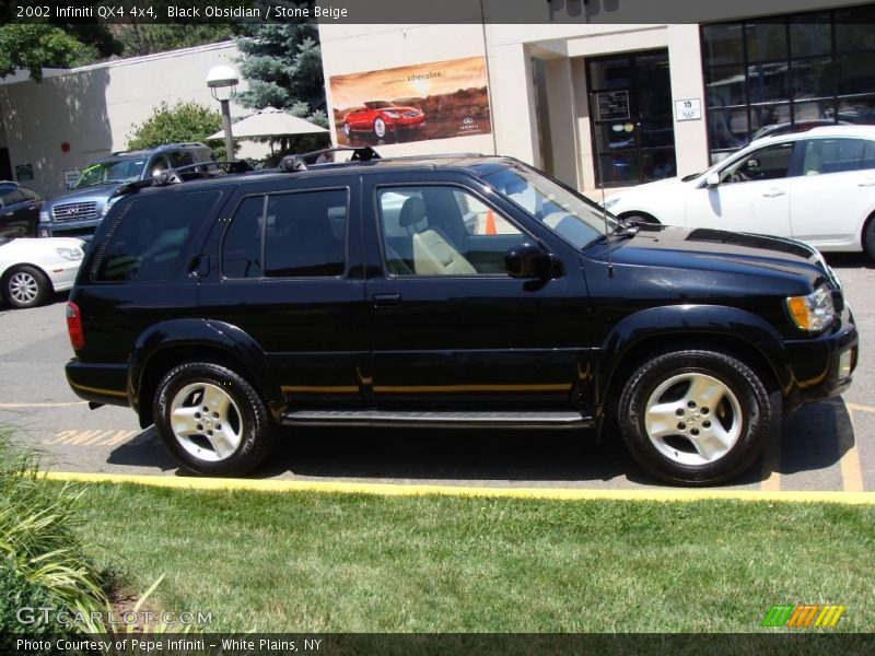 Black Obsidian / Stone Beige 2002 Infiniti QX4 4x4