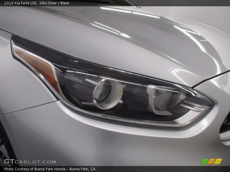 Silky Silver / Black 2019 Kia Forte LXS