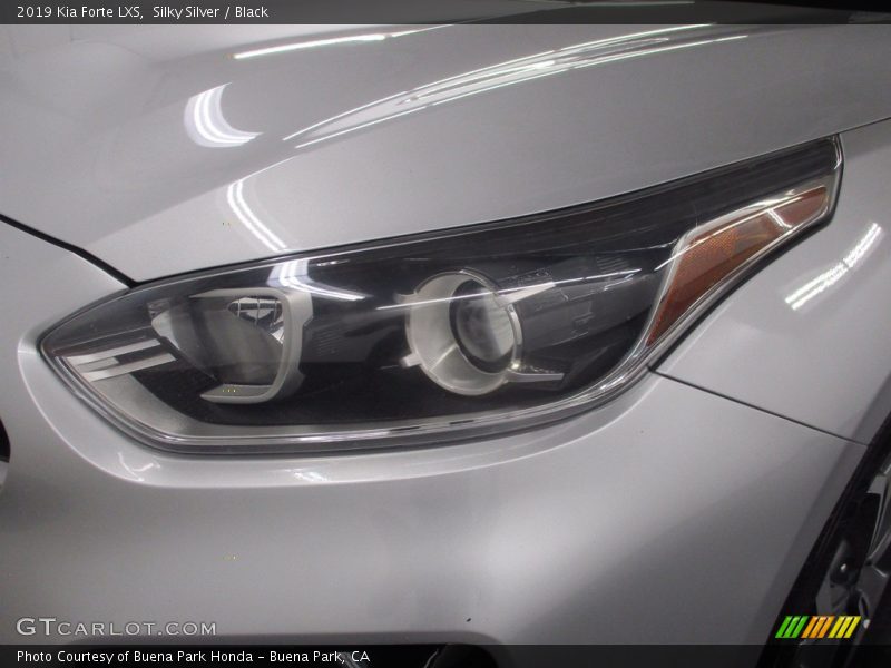 Silky Silver / Black 2019 Kia Forte LXS
