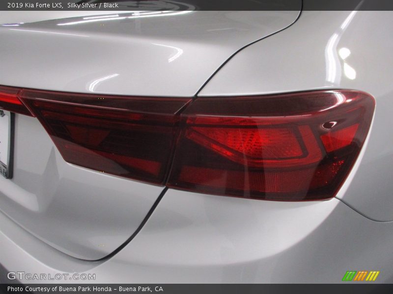 Silky Silver / Black 2019 Kia Forte LXS