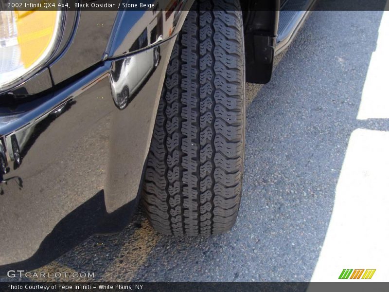 Black Obsidian / Stone Beige 2002 Infiniti QX4 4x4
