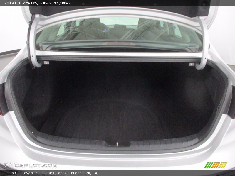 Silky Silver / Black 2019 Kia Forte LXS