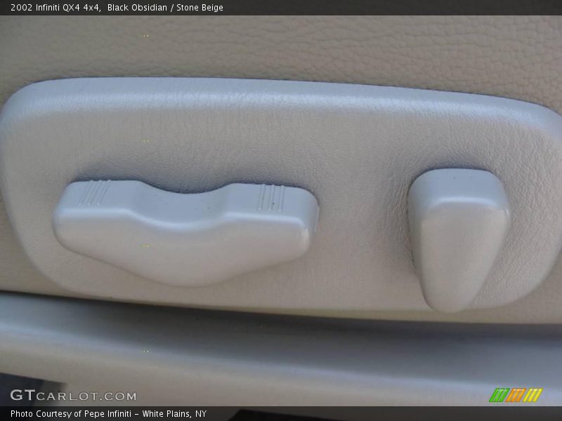 Black Obsidian / Stone Beige 2002 Infiniti QX4 4x4