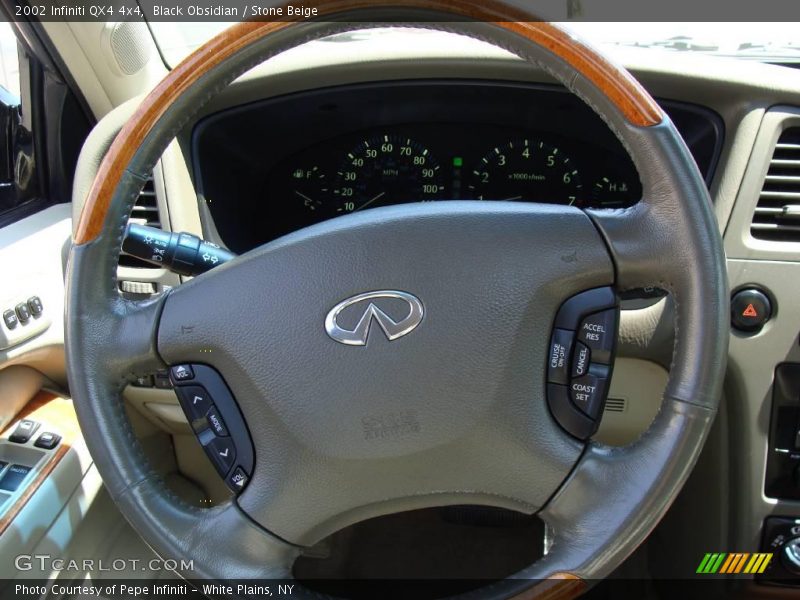 Black Obsidian / Stone Beige 2002 Infiniti QX4 4x4