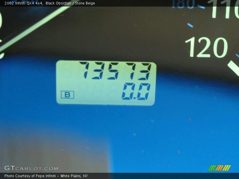 Black Obsidian / Stone Beige 2002 Infiniti QX4 4x4
