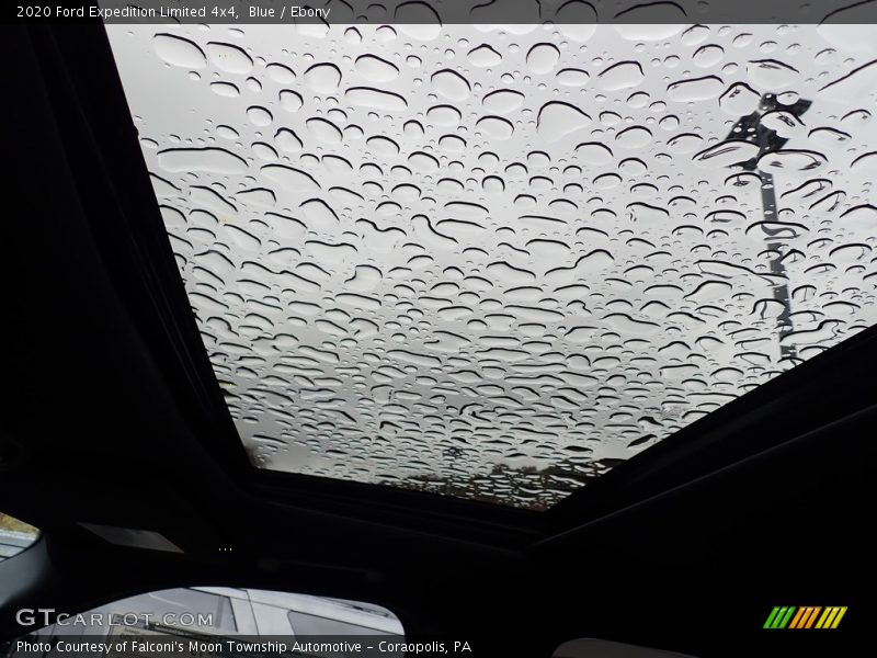 Blue / Ebony 2020 Ford Expedition Limited 4x4