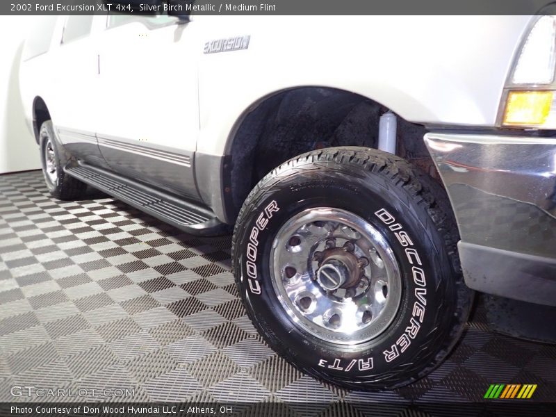Silver Birch Metallic / Medium Flint 2002 Ford Excursion XLT 4x4