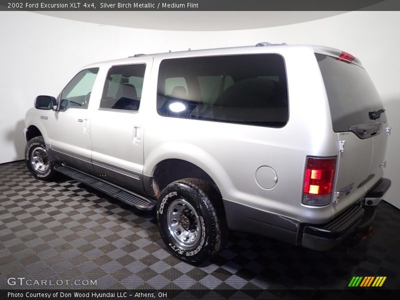 Silver Birch Metallic / Medium Flint 2002 Ford Excursion XLT 4x4