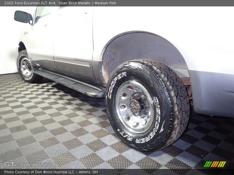 Silver Birch Metallic / Medium Flint 2002 Ford Excursion XLT 4x4